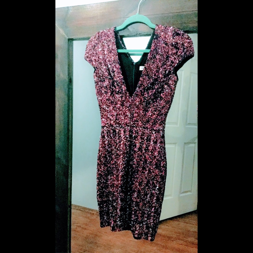 Dress The Population Sequin Dress